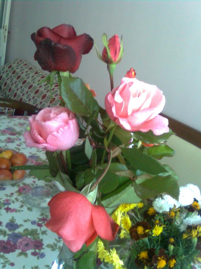 Name:  Grnt0001.jpg
Views: 643
Size:  70.0 KB