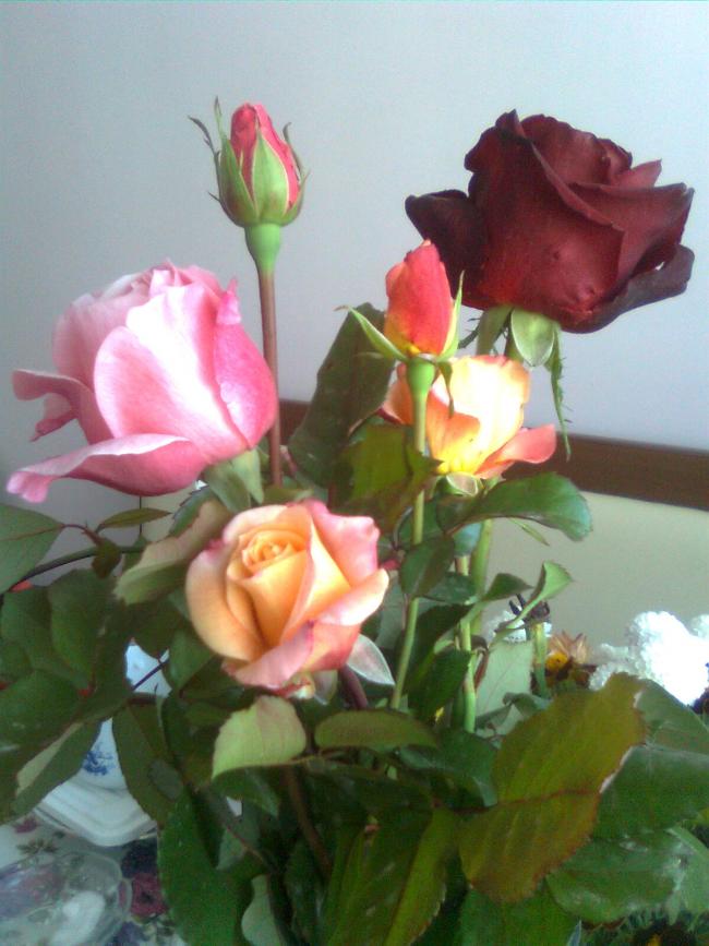 Name:  Grnt0002.jpg
Views: 641
Size:  63.0 KB