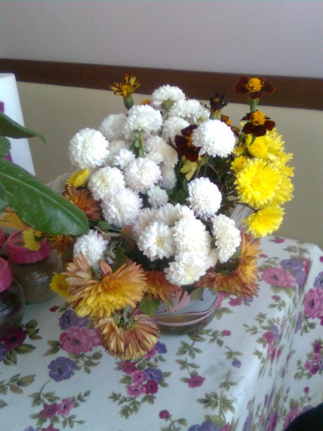 Name:  Grnt0003.jpg
Views: 636
Size:  70.6 KB