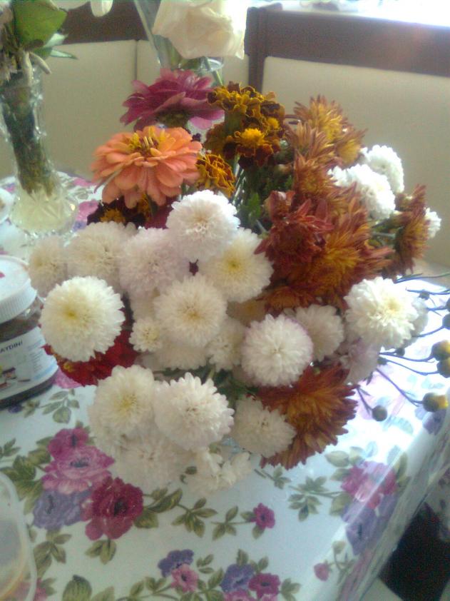 Name:  Grnt0967.jpg
Views: 750
Size:  70.5 KB