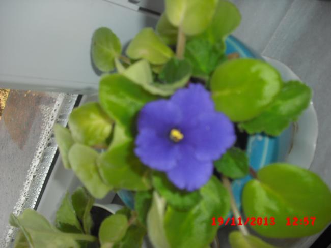 Name:  CIMG5033.jpg
Views: 415
Size:  27.4 KB