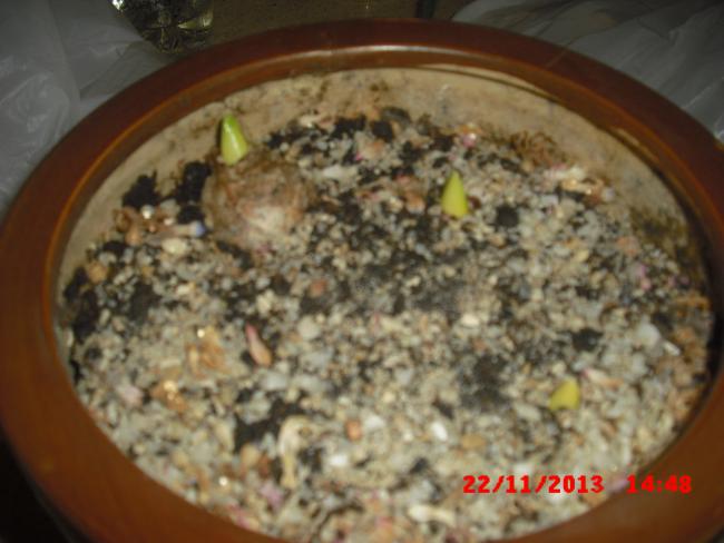 Name:  CIMG5057.jpg
Views: 392
Size:  40.2 KB