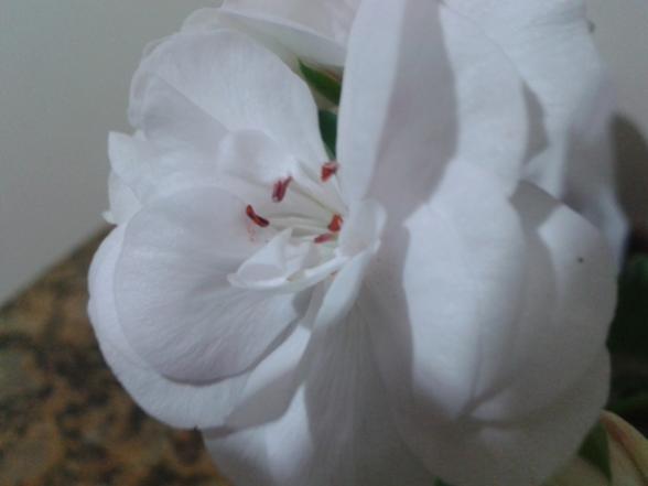 Name:  20131127_163555.jpg
Views: 741
Size:  17.3 KB