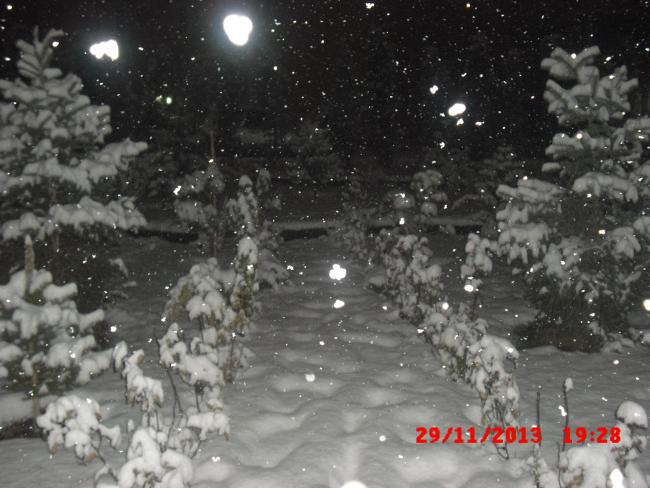 Name:  CIMG5115.jpg
Views: 753
Size:  52.3 KB