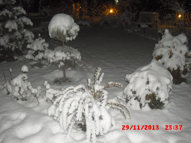Name:  CIMG5148.jpg
Views: 375
Size:  45.1 KB