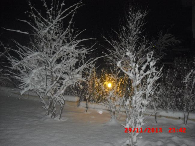 Name:  CIMG5162.jpg
Views: 852
Size:  48.1 KB