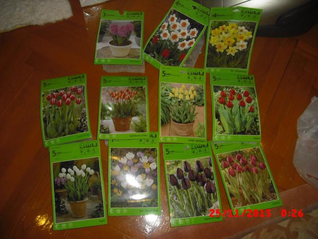 Name:  CIMG5097.jpg
Views: 377
Size:  50.6 KB