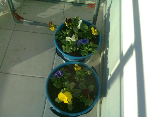 Name:  Fotoraf3887.jpg
Views: 790
Size:  33.4 KB