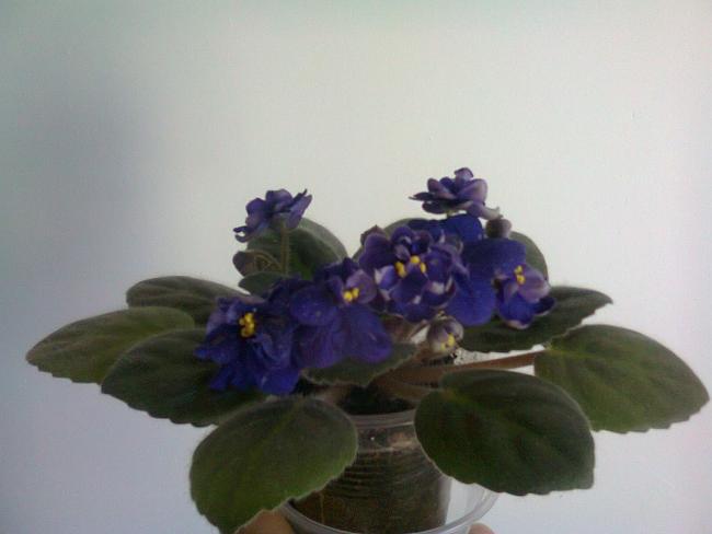 Name:  Fotoraf3869.jpg
Views: 765
Size:  24.4 KB