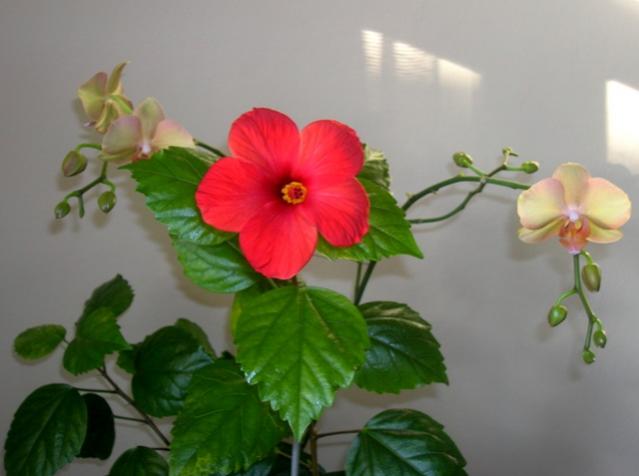 Name:  DSCN4565.jpg
Views: 916
Size:  27.3 KB
