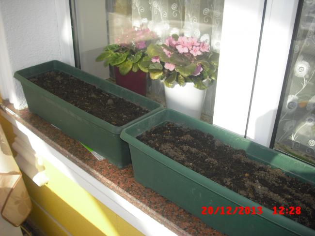 Name:  CIMG5340.jpg
Views: 547
Size:  40.6 KB