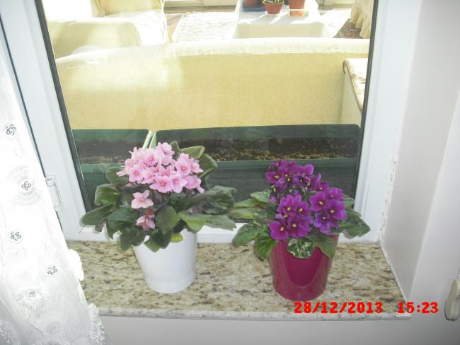 Name:  CIMG5384.jpg
Views: 525
Size:  39.5 KB