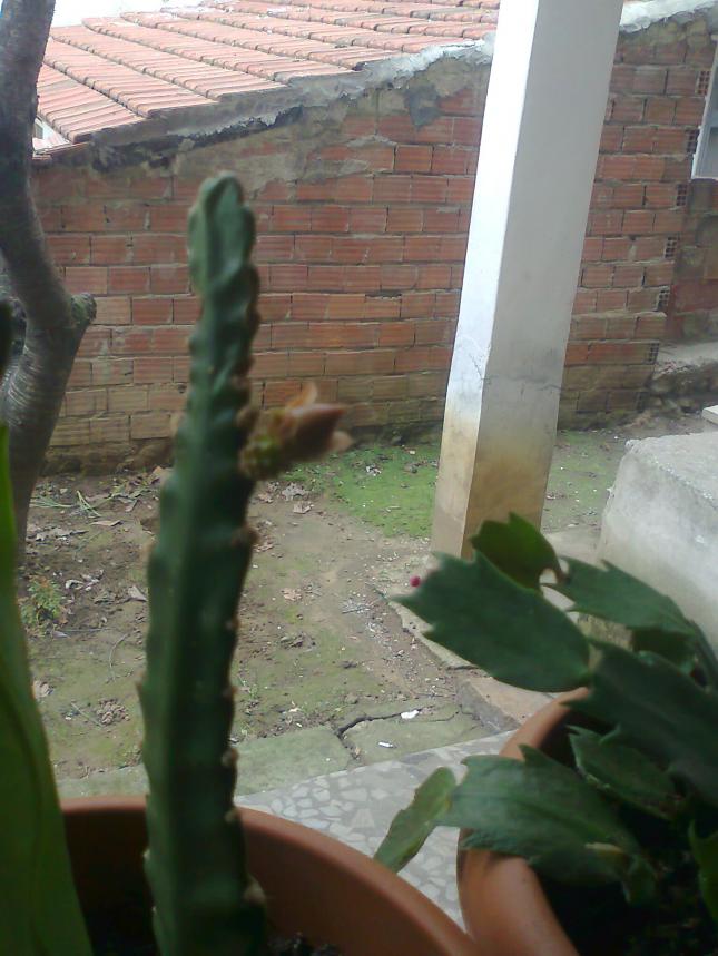 Name:  Fotoraf.atlas..jpg
Views: 1156
Size:  70.1 KB