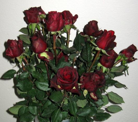 Name:  IMG_4723.jpg
Views: 2343
Size:  40.4 KB