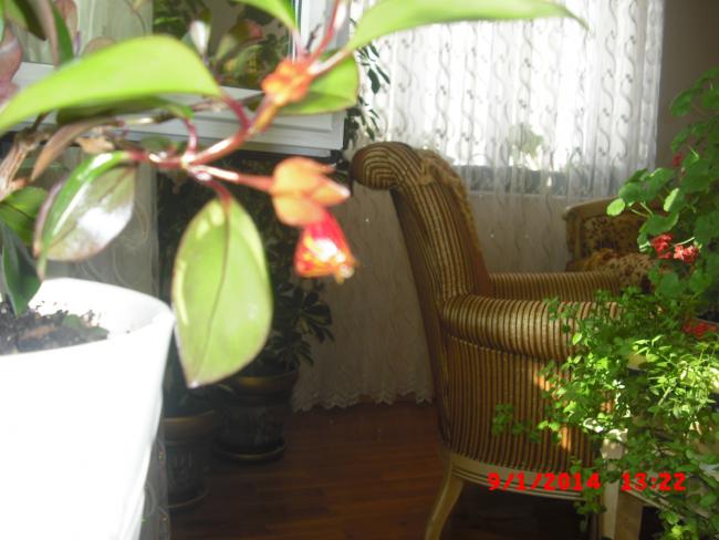 Name:  CIMG5522.jpg
Views: 511
Size:  43.0 KB