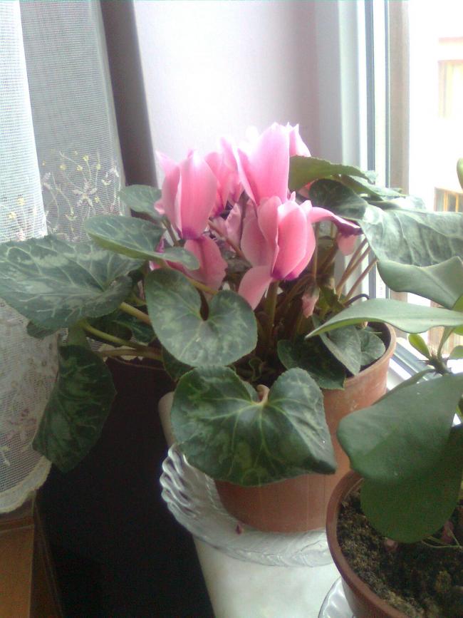 Name:  Grnt0014.jpg
Views: 569
Size:  67.4 KB