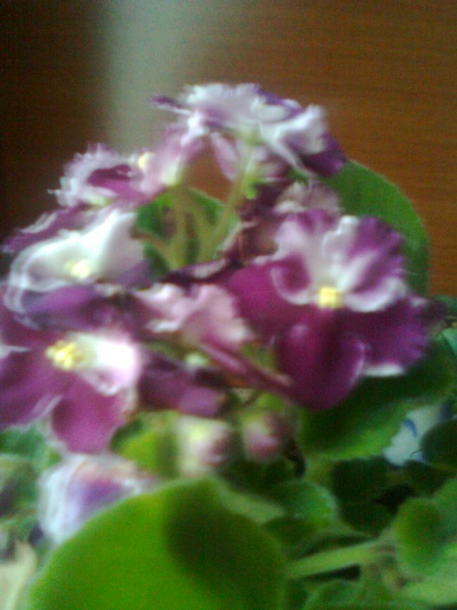 Name:  Grnt0852.jpg
Views: 558
Size:  55.3 KB