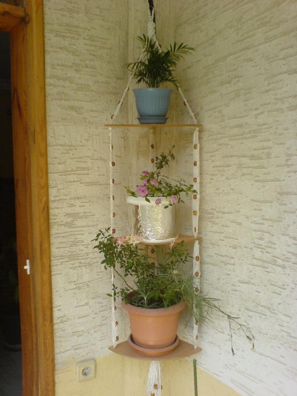 Name:  DSC04522.jpg
Views: 5020
Size:  61.2 KB