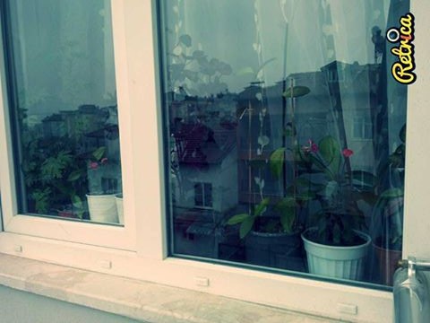 Name:  1903227_688884587829467_195653547_n.jpg
Views: 851
Size:  54.1 KB