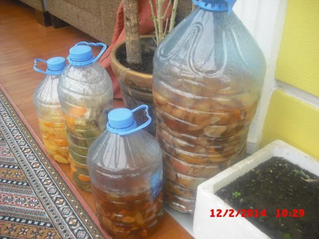 Name:  CIMG5780.jpg
Views: 898
Size:  51.6 KB
