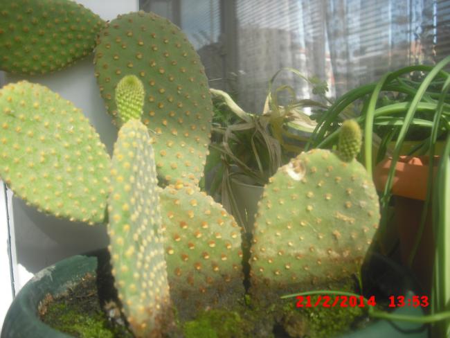 Name:  CIMG5819.jpg
Views: 1074
Size:  42.7 KB