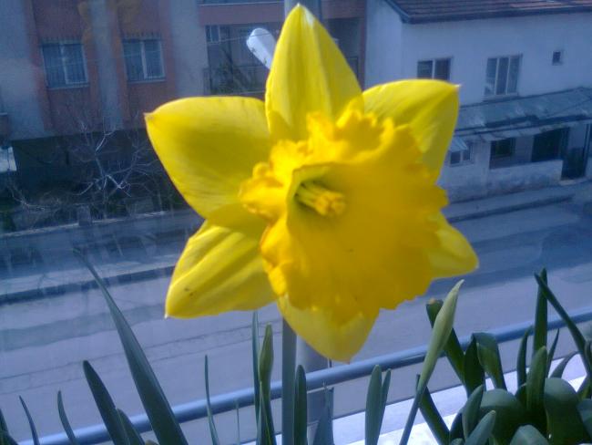 Name:  Fotoraf4292.jpg
Views: 598
Size:  36.3 KB