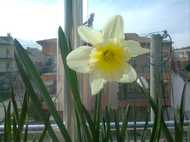 Name:  Fotoraf4294.jpg
Views: 624
Size:  40.5 KB