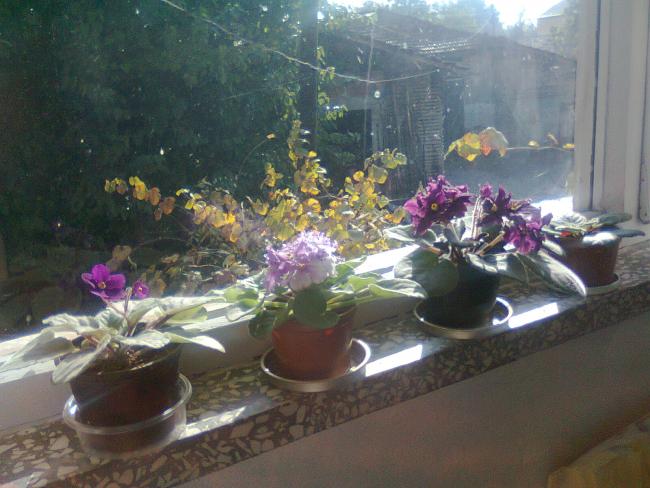 Name:  Fotoraf3786.jpg
Views: 550
Size:  49.3 KB
