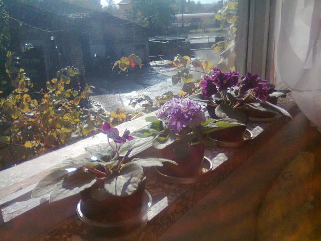 Name:  Fotoraf3787.jpg
Views: 550
Size:  48.2 KB