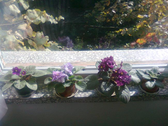 Name:  Fotoraf3791.jpg
Views: 554
Size:  50.8 KB