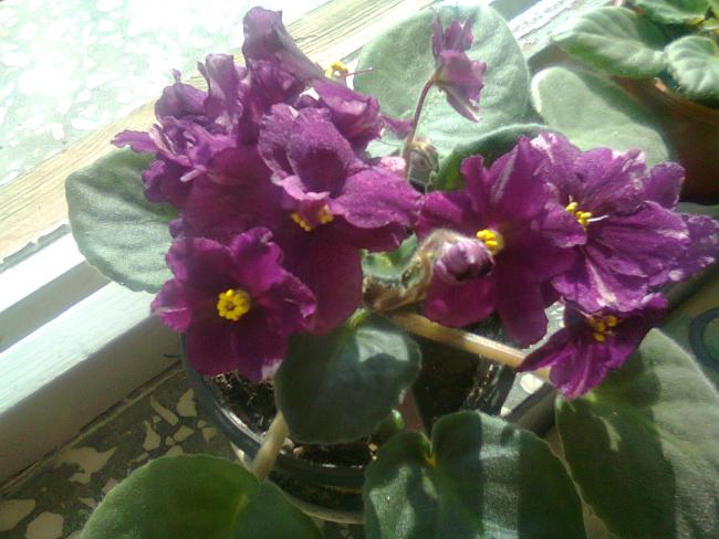 Name:  Fotoraf3788.jpg
Views: 534
Size:  47.7 KB
