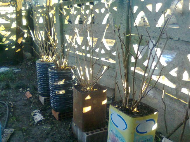 Name:  Fotoraf4111.jpg
Views: 543
Size:  64.7 KB
