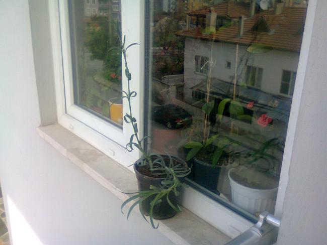 Name:  Fotoraf4309.jpg
Views: 528
Size:  33.5 KB