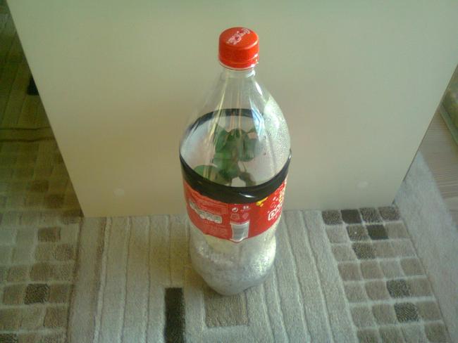 Name:  Fotoraf4318.jpg
Views: 703
Size:  29.9 KB