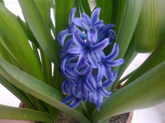 Name:  Fotoraf4361.jpg
Views: 946
Size:  41.2 KB