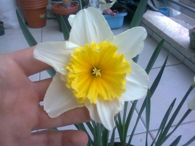 Name:  Fotoraf4360.jpg
Views: 914
Size:  37.2 KB