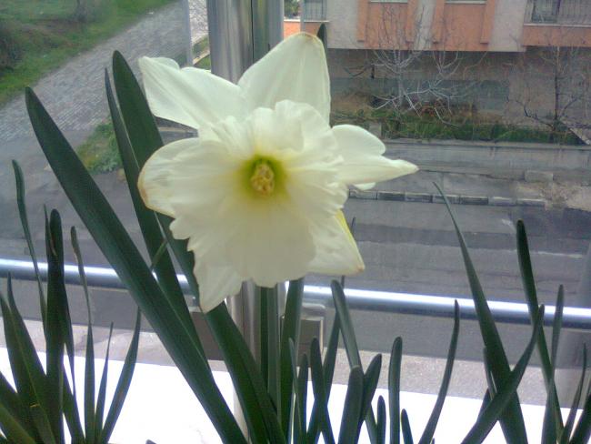 Name:  Fotoraf4358.jpg
Views: 945
Size:  45.6 KB