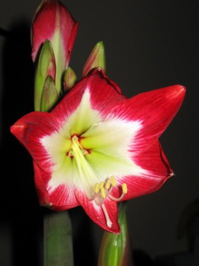 Name:  IMG_5808.jpg
Views: 590
Size:  19.6 KB
