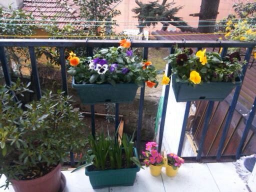Name:  1393701399018.jpg
Views: 458
Size:  58.3 KB