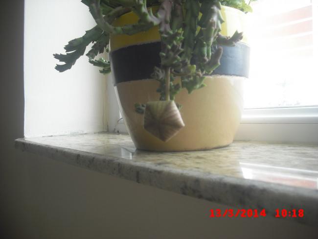 Name:  CIMG5928.jpg
Views: 952
Size:  23.7 KB