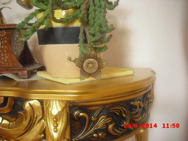 Name:  CIMG5951.jpg
Views: 504
Size:  41.9 KB