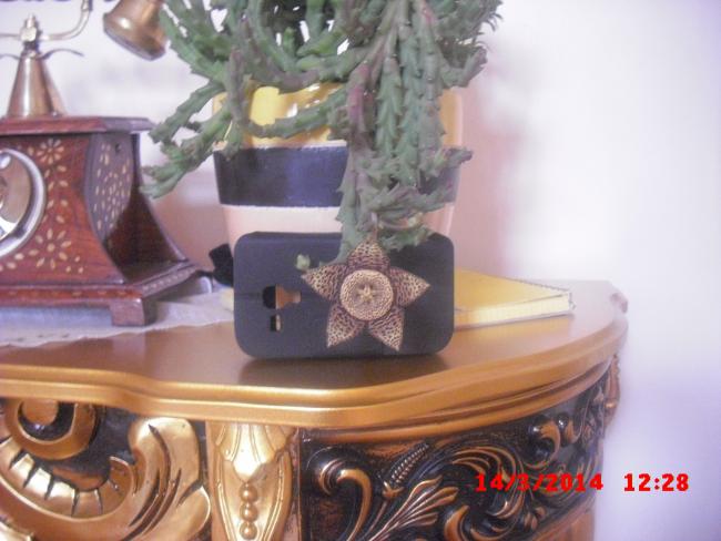 Name:  CIMG5960.jpg
Views: 516
Size:  42.0 KB