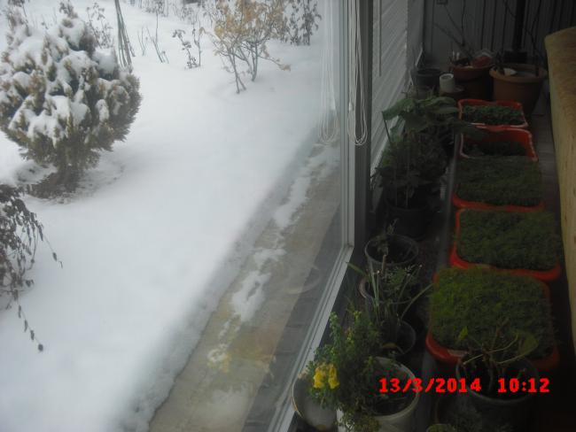 Name:  CIMG5918.jpg
Views: 519
Size:  34.6 KB