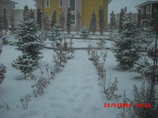 Name:  CIMG5917.jpg
Views: 514
Size:  43.8 KB