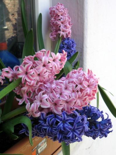 Name:  IMG_6385.jpg
Views: 739
Size:  35.2 KB