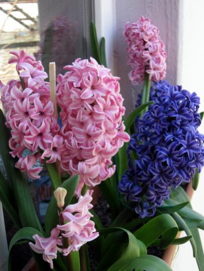 Name:  IMG_6386.jpg
Views: 771
Size:  38.2 KB