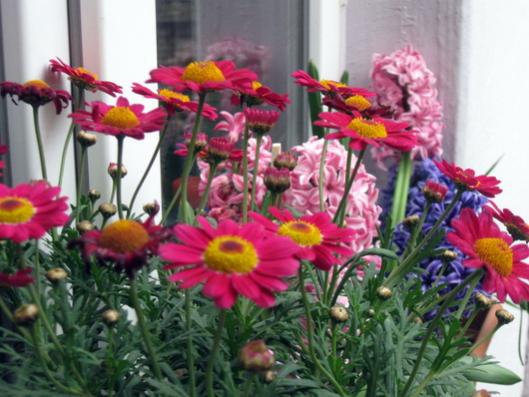 Name:  IMG_6580.jpg
Views: 781
Size:  41.0 KB