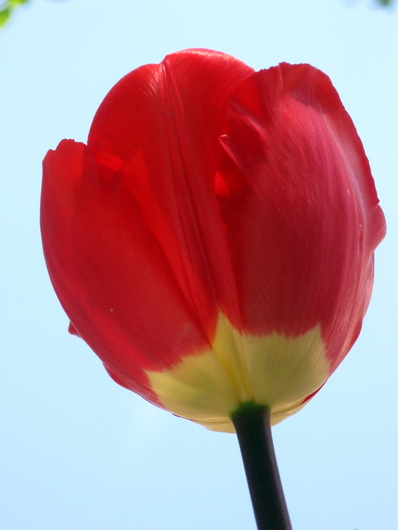 Name:  IMG_6261.JPG
Views: 704
Size:  55.3 KB