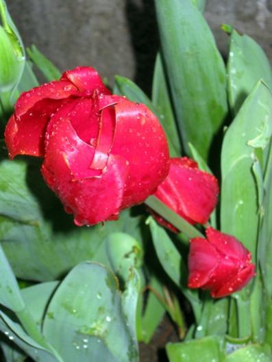 Name:  IMG_6443.jpg
Views: 749
Size:  30.3 KB
