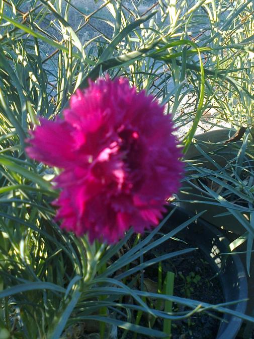Name:  Fotoraf0159.jpg
Views: 2008
Size:  77.6 KB